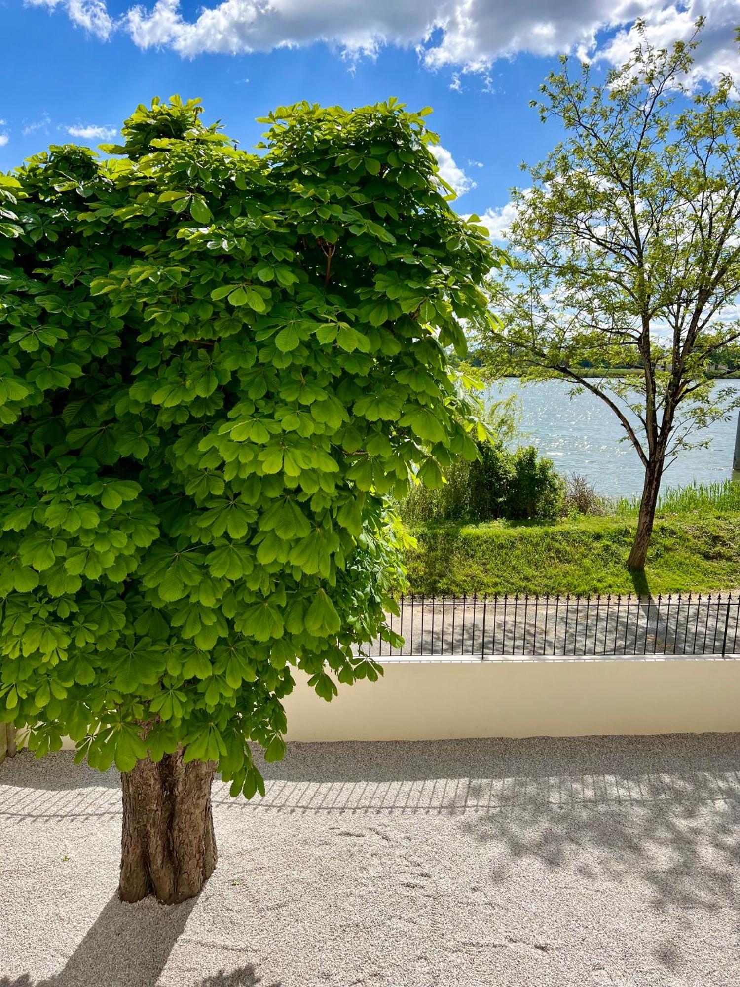 La Villa Du Fleuve Quinsac  Dış mekan fotoğraf
